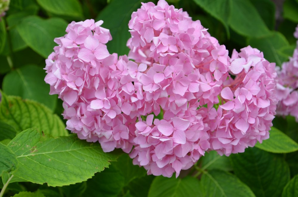 Тур 2AS 2019  часть 1 128.JPG