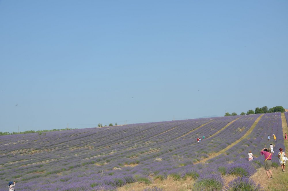 Тур  2AS  2019г. часть 4 012.JPG