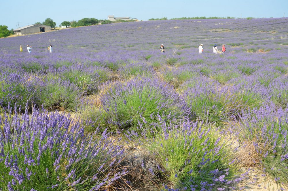 Тур  2AS  2019г. часть 4 017.JPG