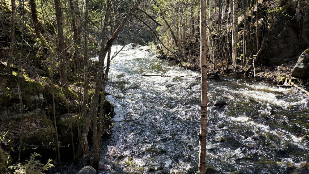 19.05.11_048_Карелия_водопад Кивач.JPG