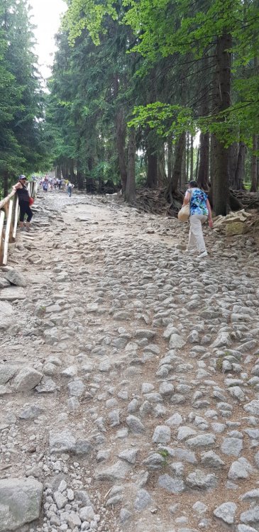 20190701_164947 — копия.jpg