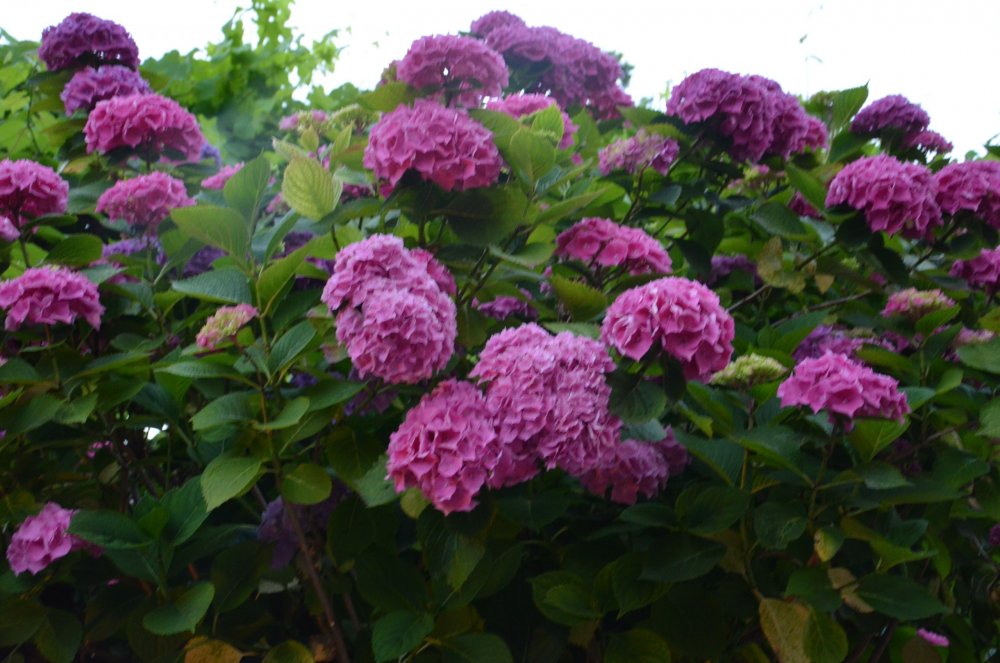 Тур 2AS 2019  часть 1 494.JPG