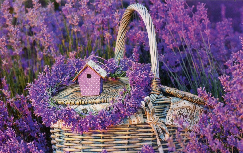 img698 — копия (3).jpg