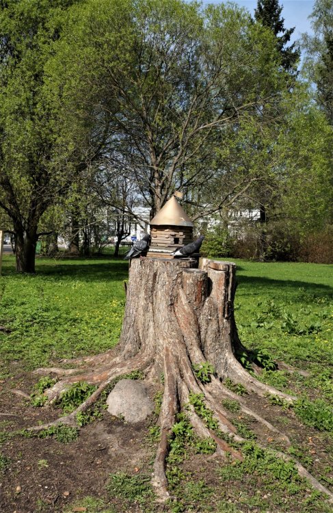 19.05.10_228_СПб_Елагин остров.JPG