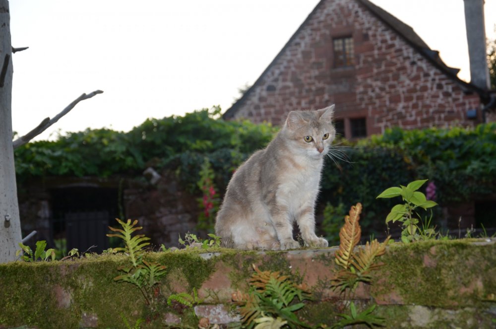 Тур 2AS 2019  часть 1 459.JPG