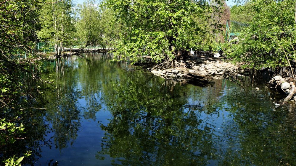 19.05.16_063_СПб_ Зоопарк.JPG