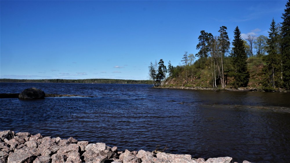 19.05.14_345_Выборг_парк Монрепо.JPG