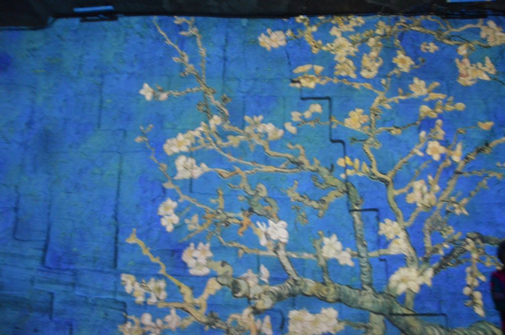 2AS  2019 г. часть 3 238.JPG