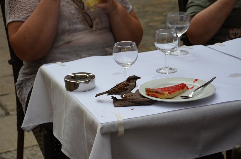 Тур 2AS 2019  часть 1 205.JPG