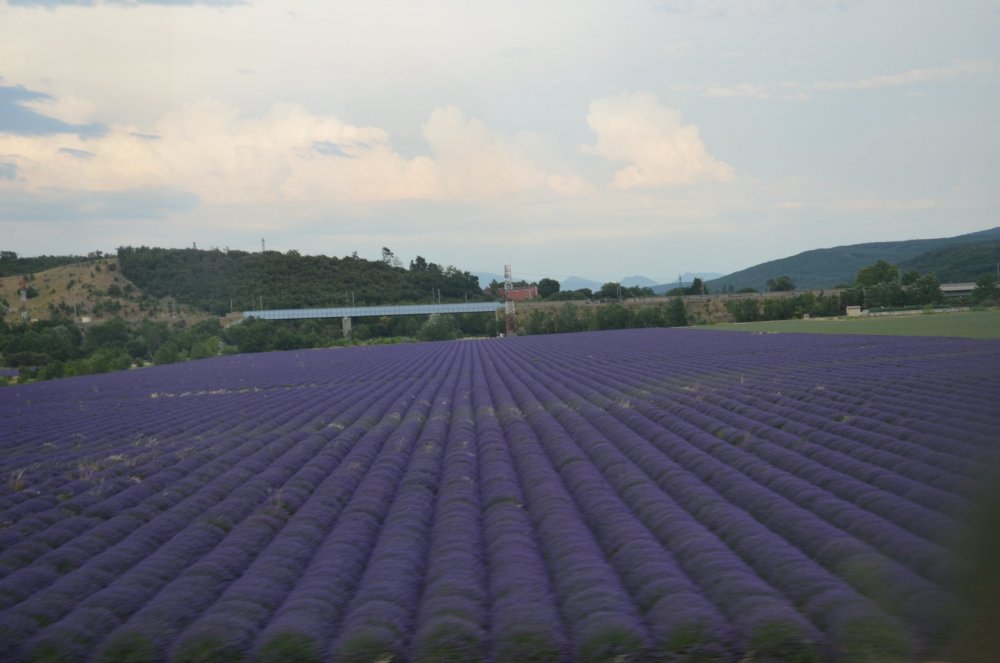 2AS  2019 г. часть 3 1011.JPG