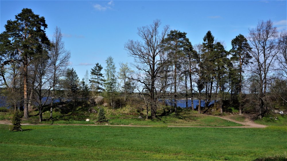 19.05.14_291_Выборг_парк Монрепо.JPG