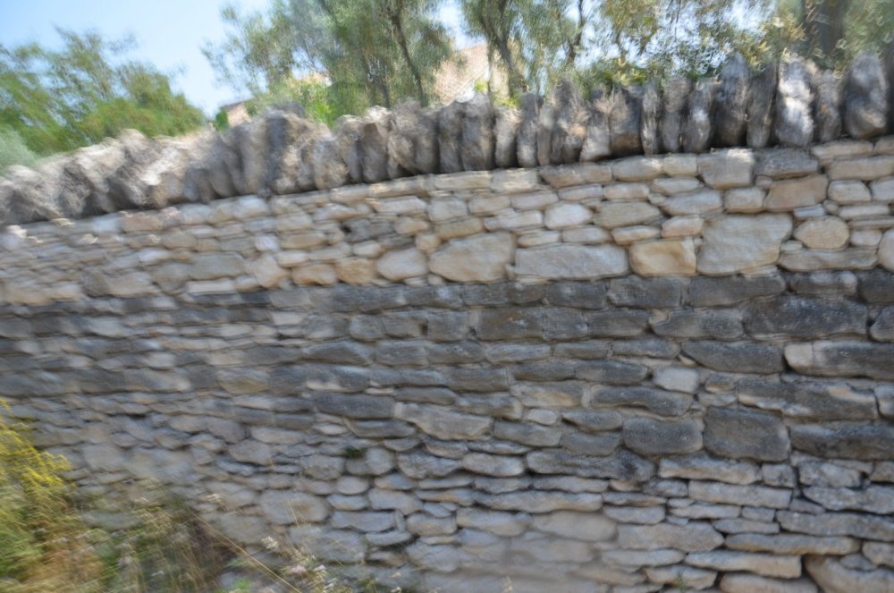 2 AS  2019г. часть 2 439.JPG