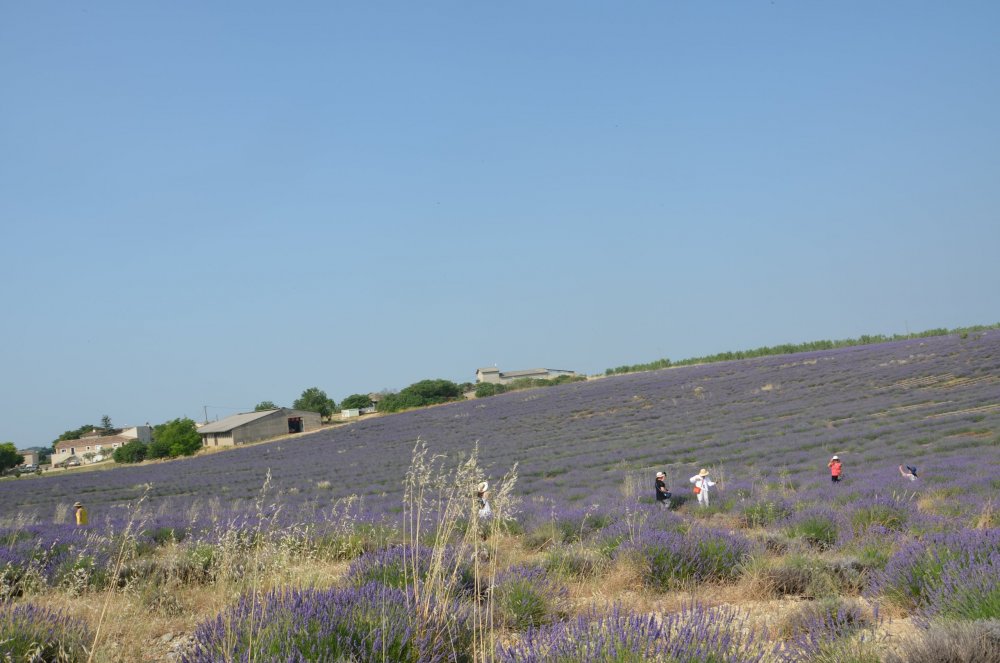 Тур  2AS  2019г. часть 4 010.JPG