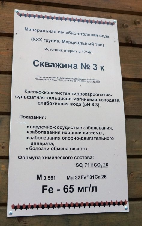 19.05.11_089_Карелия_ Марциальные воды_источник.JPG