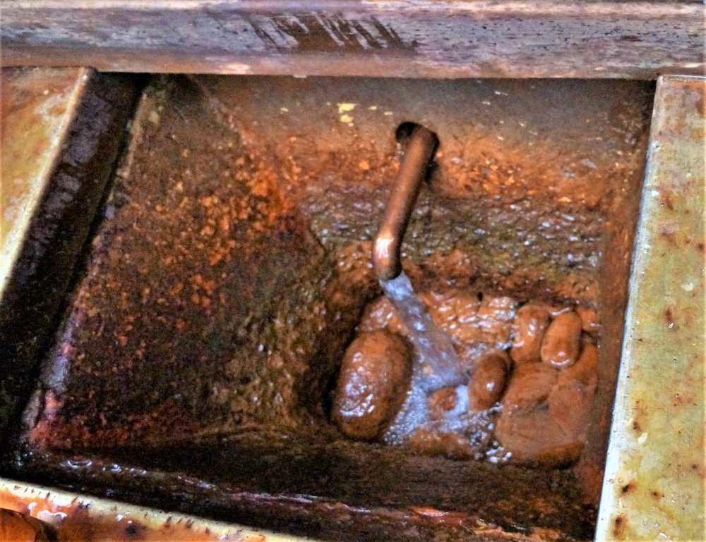 19.05.11_091_Карелия_ Марциальные воды_источник.JPG