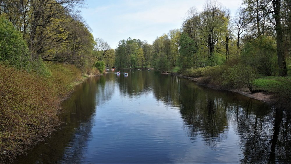 19.05.10_160_СПб_Елагин остров.JPG