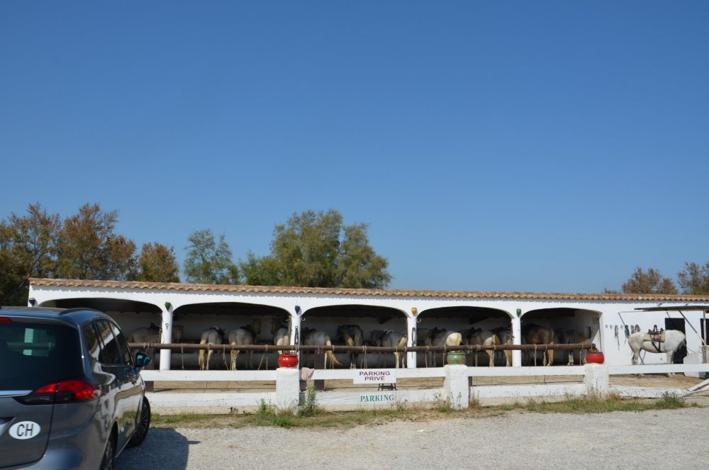 2AS  2019 г. часть 3 497.JPG