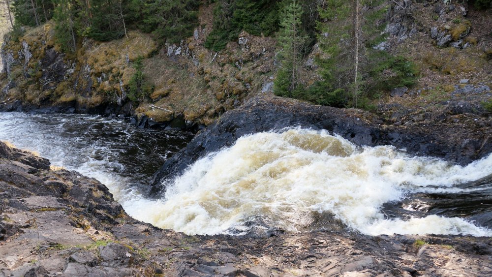 19.05.11_059_Карелия_водопад Кивач.JPG