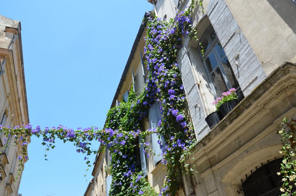 2AS  2019 г. часть 3 420.JPG