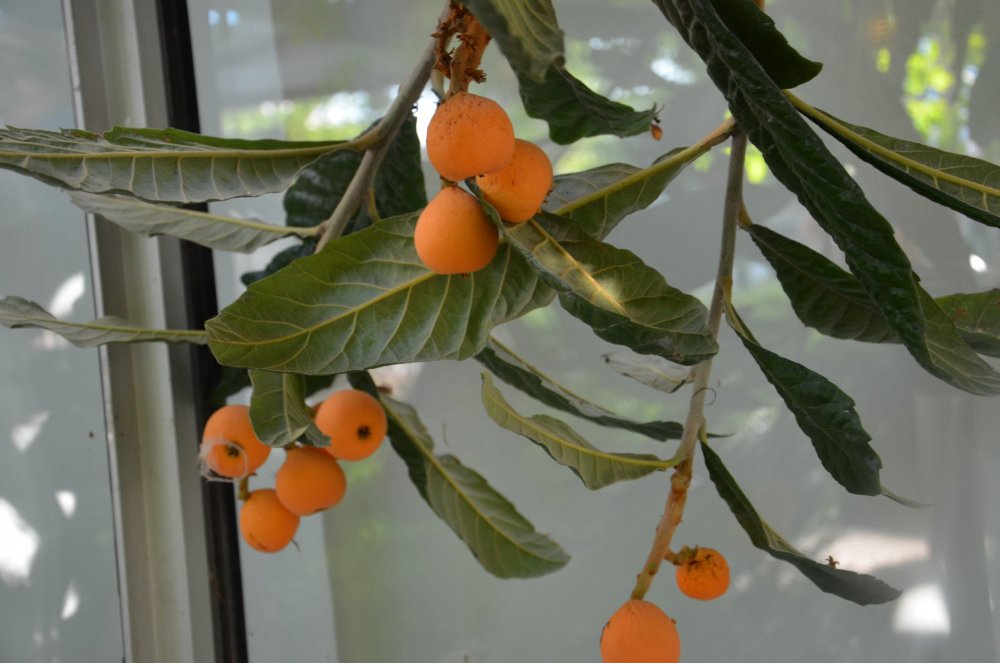 2AS  2019 г. часть 3 1046.JPG