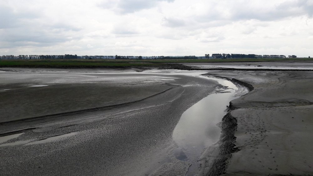 Мон-Сен-Мишель( отлив4).jpg