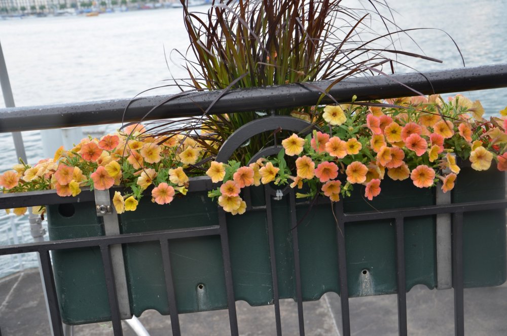 2AS  2019 г. часть 3 1287.JPG