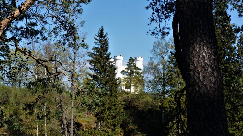 19.05.14_318_Выборг_парк Монрепо.JPG