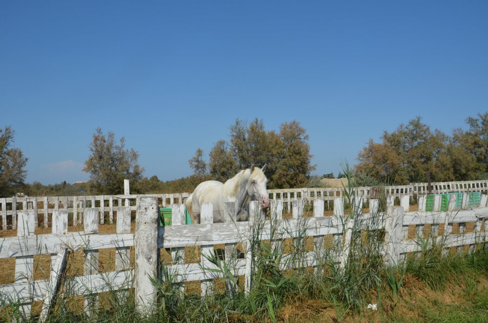 2AS  2019 г. часть 3 494.JPG