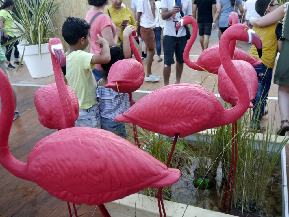 _1410687.JPG 2.jpg 2.jpg