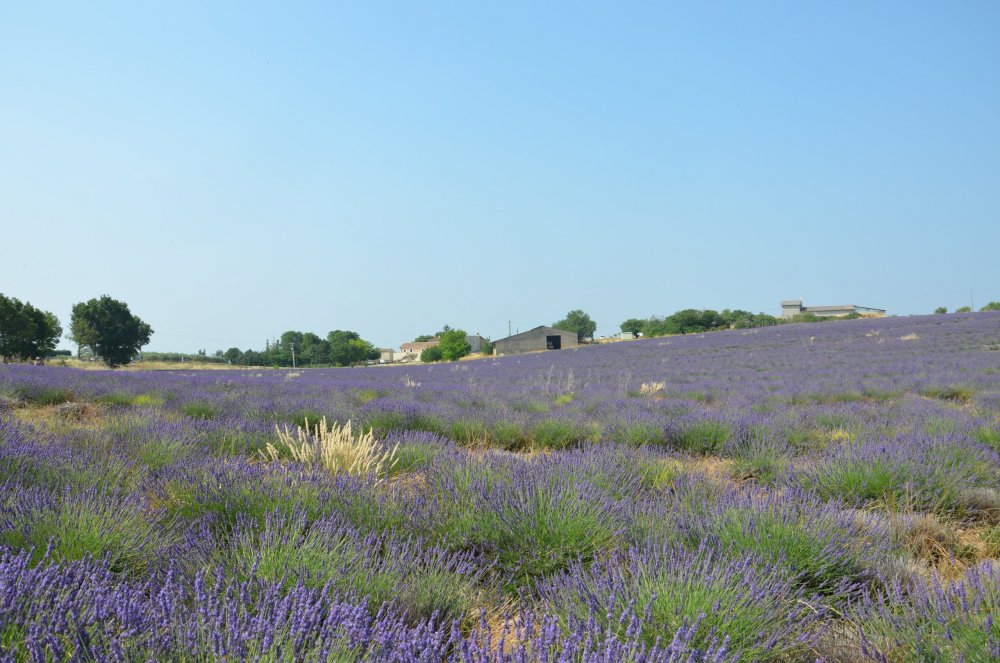 Тур  2AS  2019г. часть 4 035.JPG