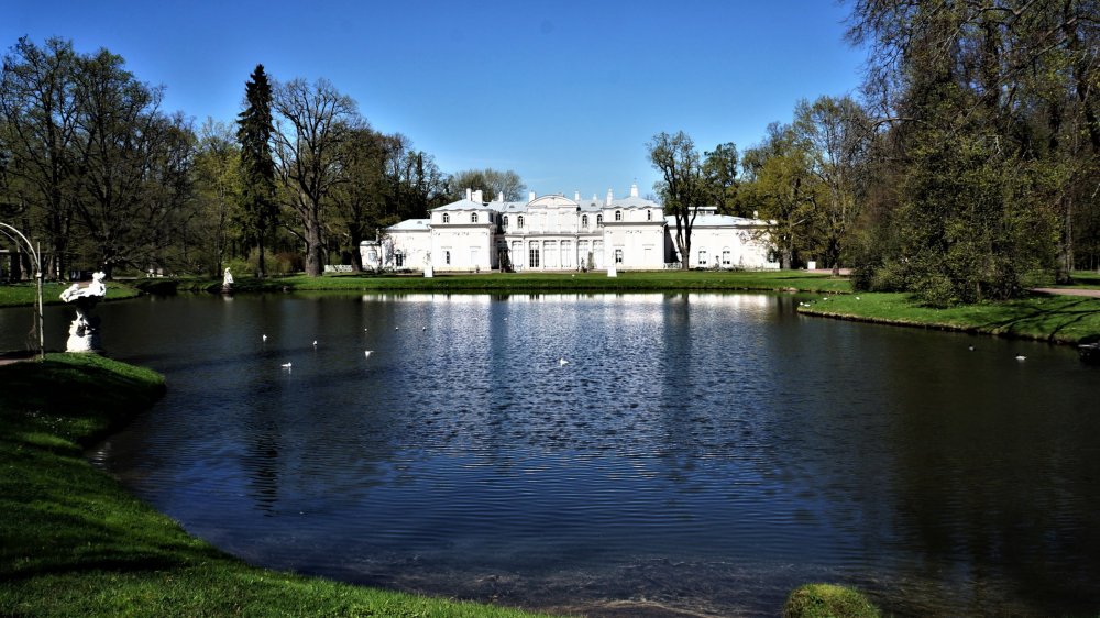 19.05.15_268_ Ораниенбаум_ Китайский дворец.JPG