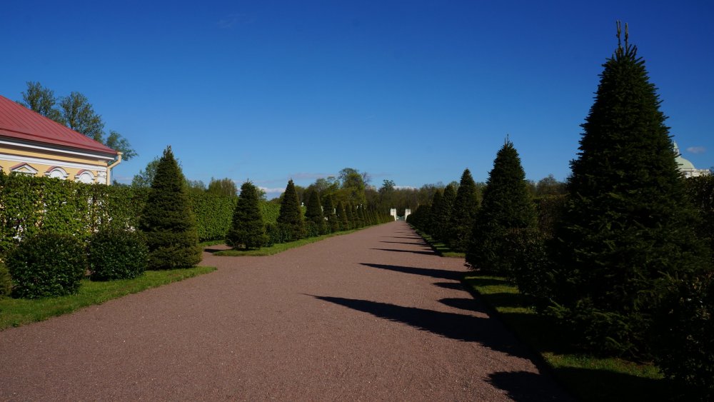 19.05.15_442_ Ораниенбаум.JPG