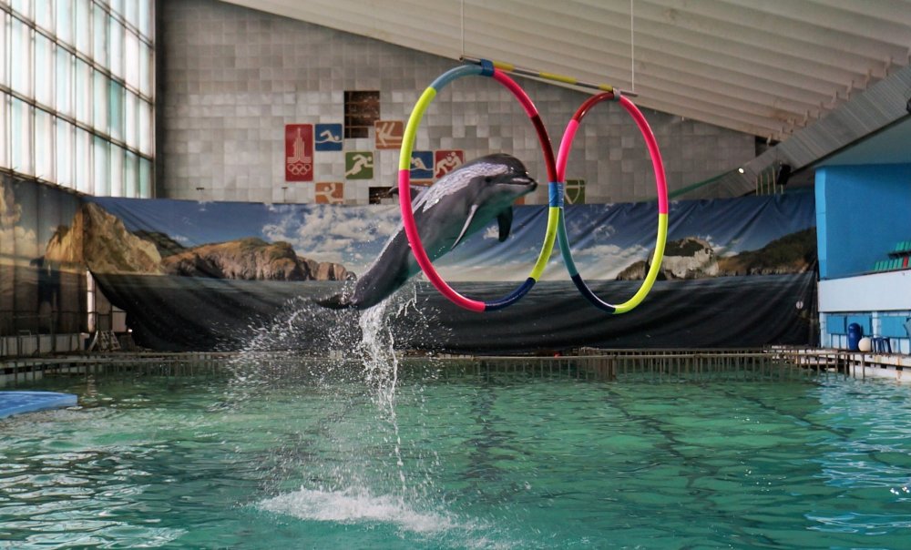 19.05.10_127_СПб_ Дельфинарий.JPG