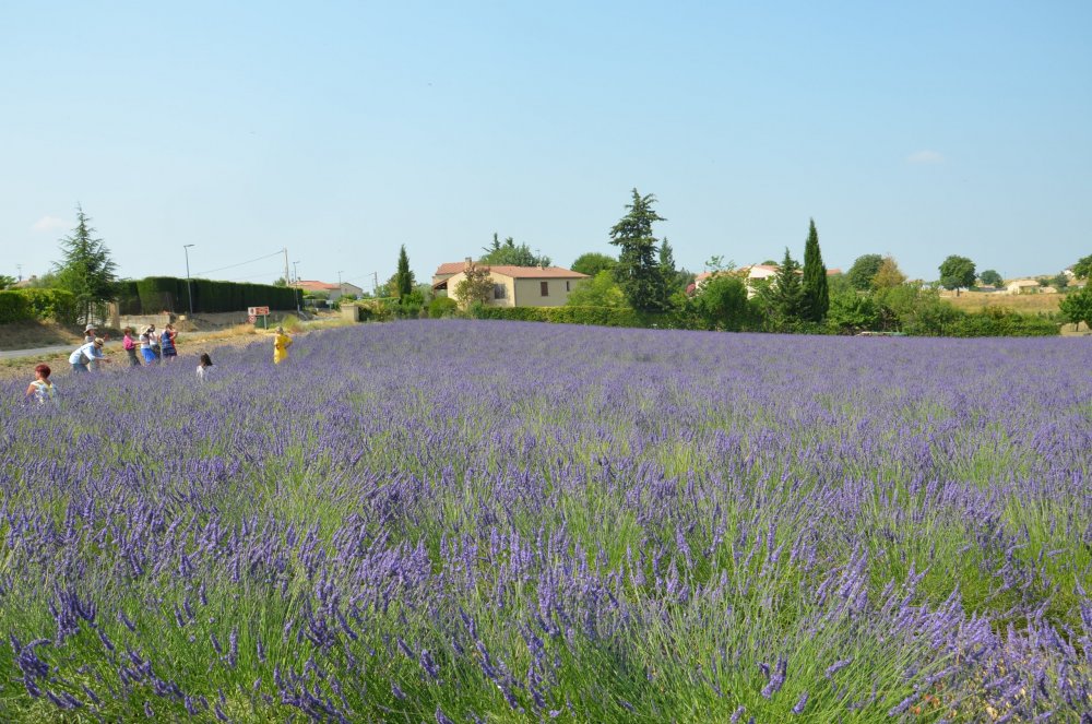 Тур  2AS  2019г. часть 4 099.JPG