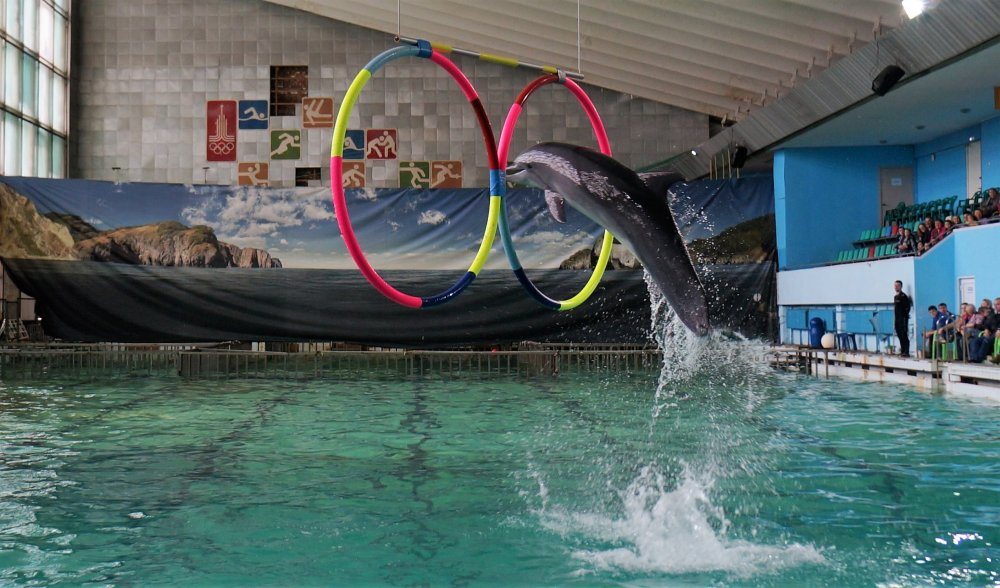 19.05.10_128_СПб_ Дельфинарий.JPG