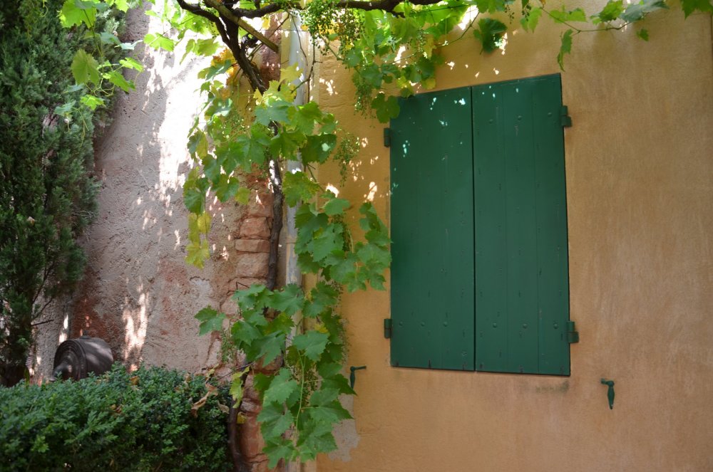 2 AS  2019г. часть 2 546.JPG