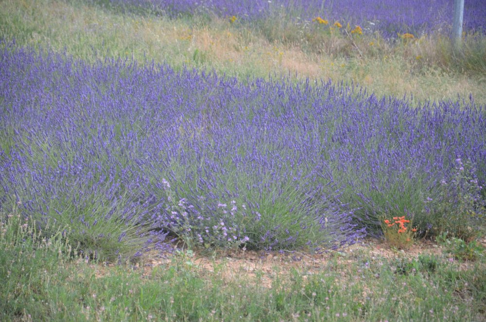 Тур  2AS  2019г. часть 4 126.JPG