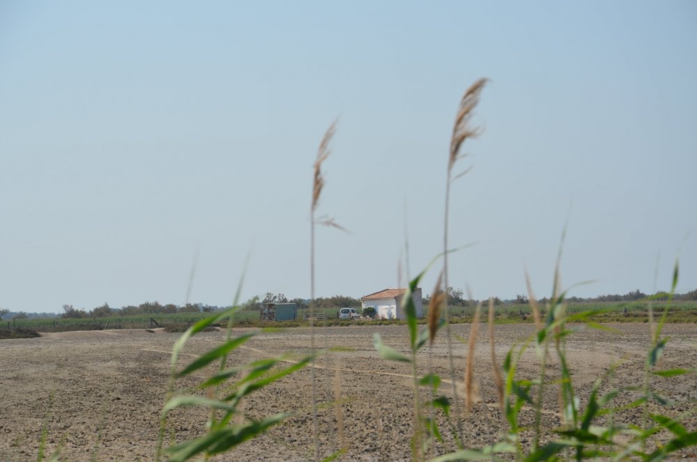 2AS  2019 г. часть 3 473.JPG