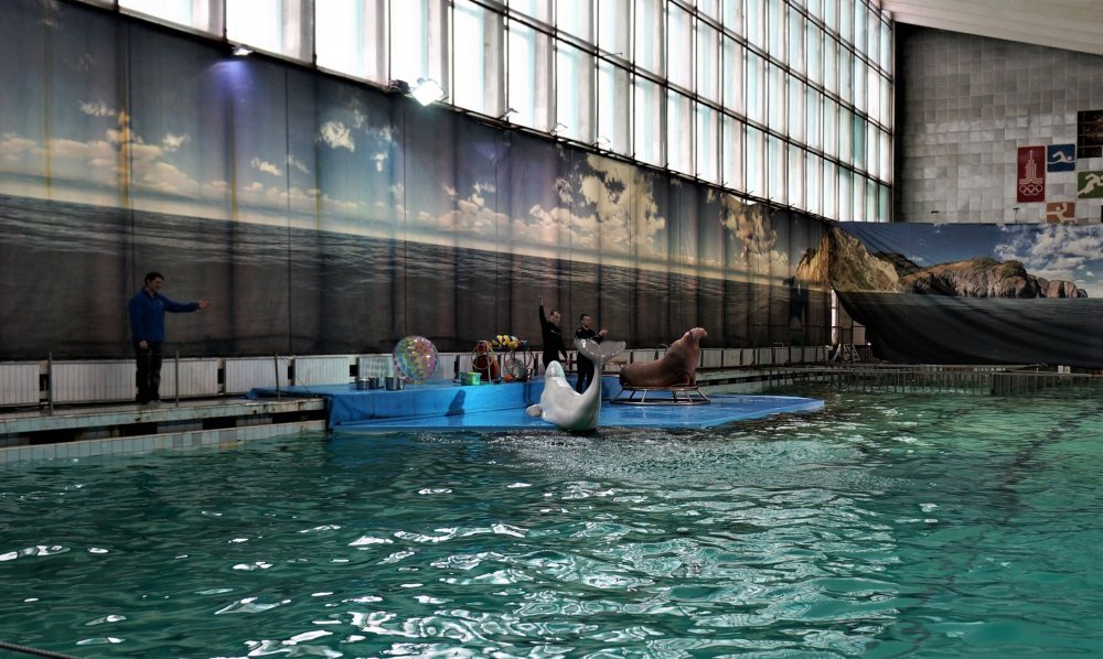 19.05.10_117_СПб_ Дельфинарий.JPG