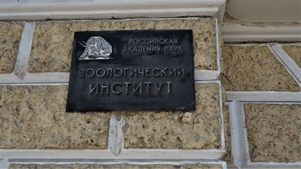 19.05.13_053_СПб_ Зоологический музей.JPG