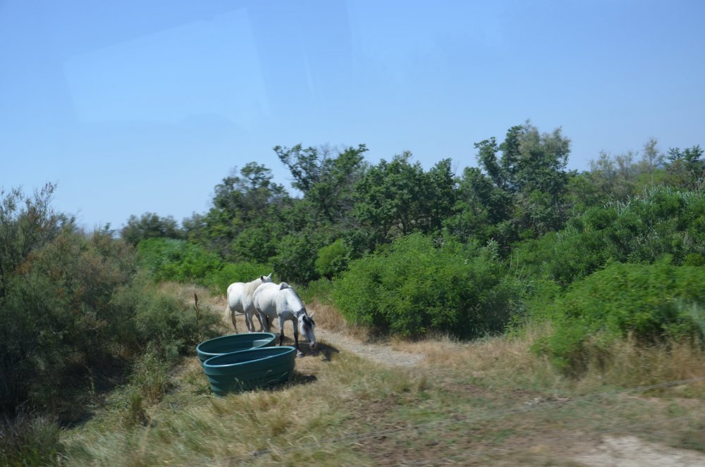 2AS  2019 г. часть 3 430.JPG