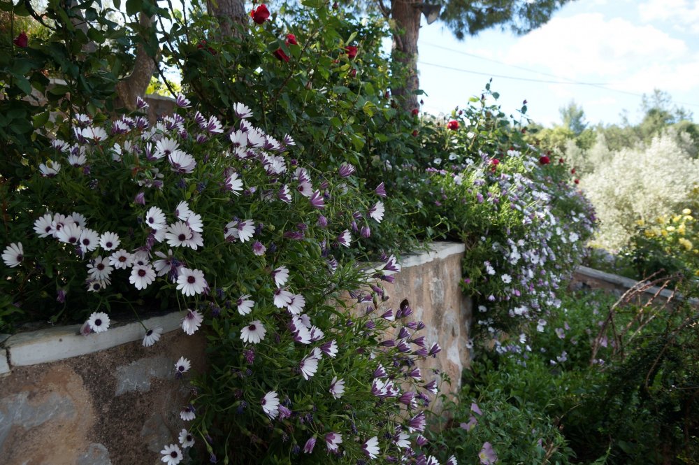 28_Женский мон-рь Агнудос(Греция)_054.JPG