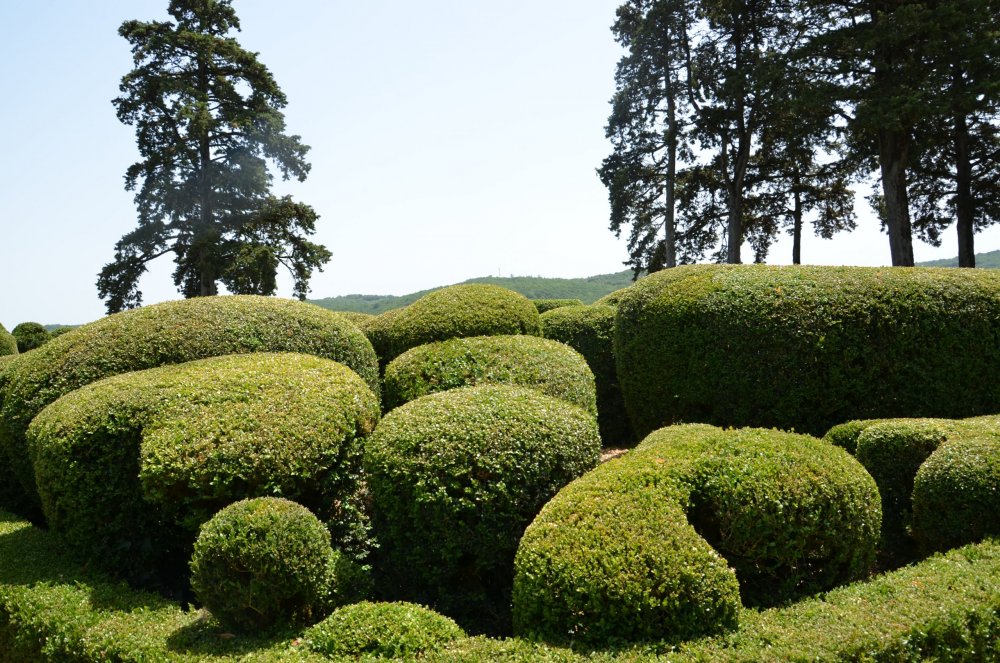 Тур 2AS 2019  часть 1 770.JPG