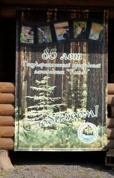 19.05.11_041_Карелия_водопад Кивач.JPG