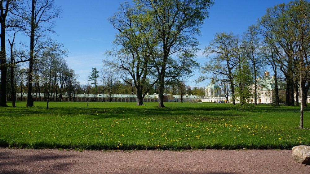 19.05.15_399_ Ораниенбаум.JPG