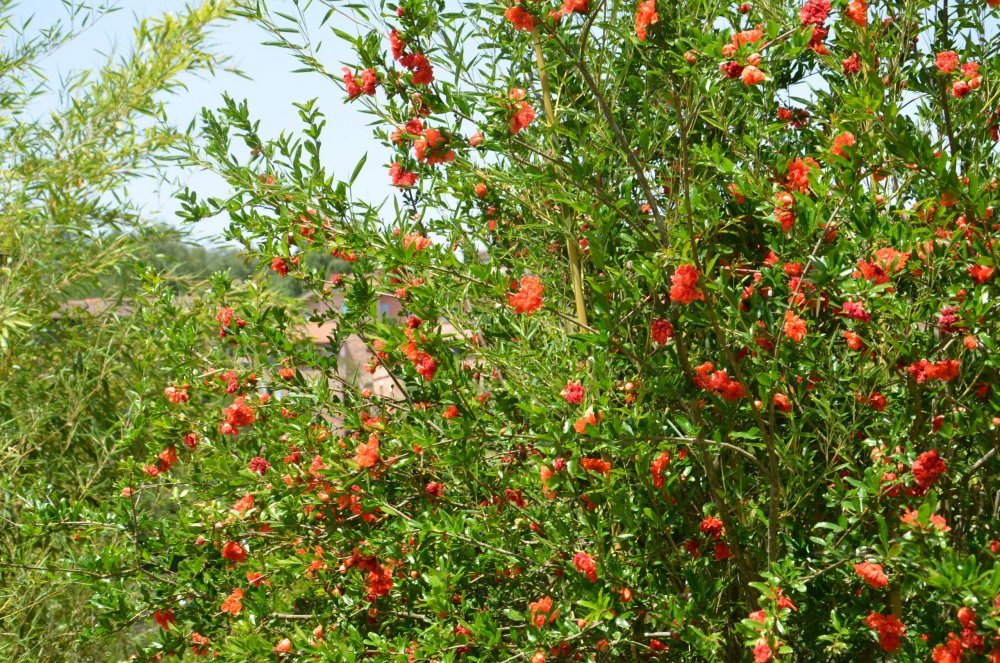 2 AS  2019г. часть 2 197.JPG