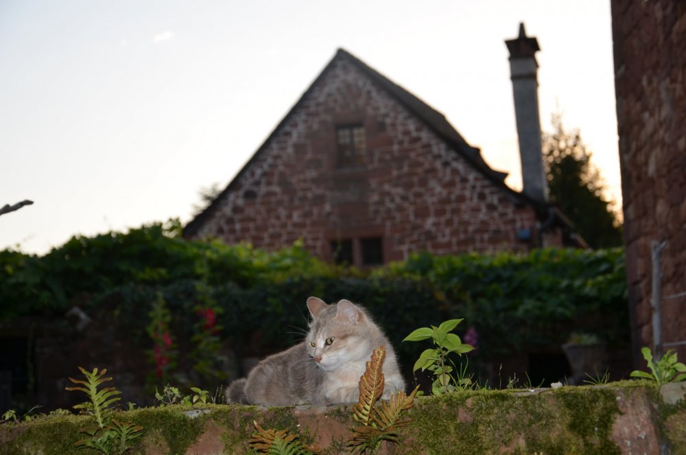 Тур 2AS 2019  часть 1 463.JPG