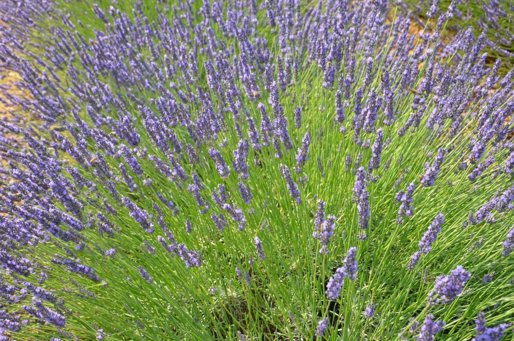 Тур  2AS  2019г. часть 4 030.JPG