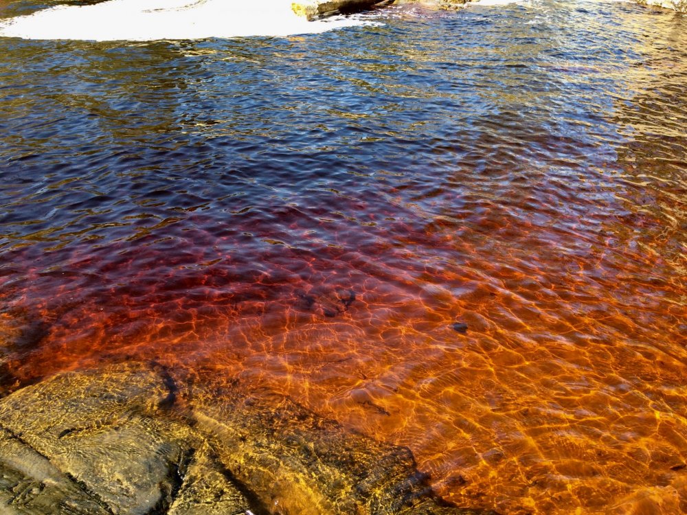 19.05.12_225_Карелия_водопады Ахинконки.JPG