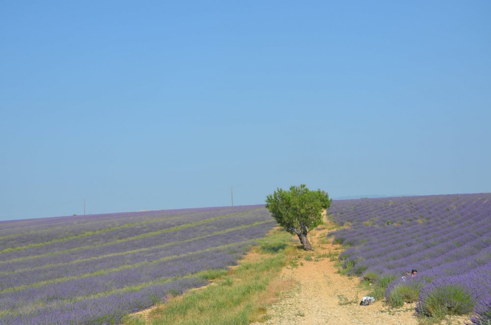 Тур  2AS  2019г. часть 4 044.JPG